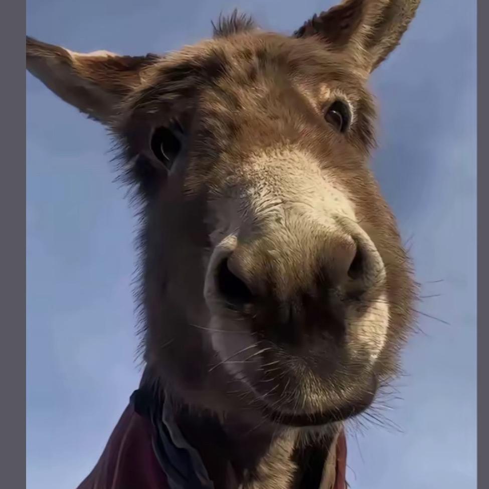 大大怪🌈🌈🌈