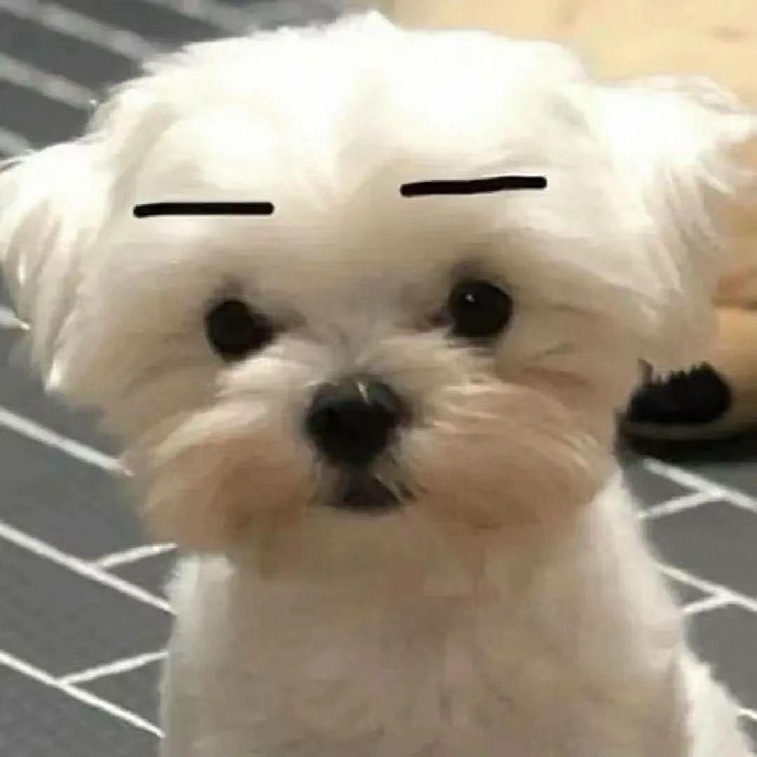 little小小金