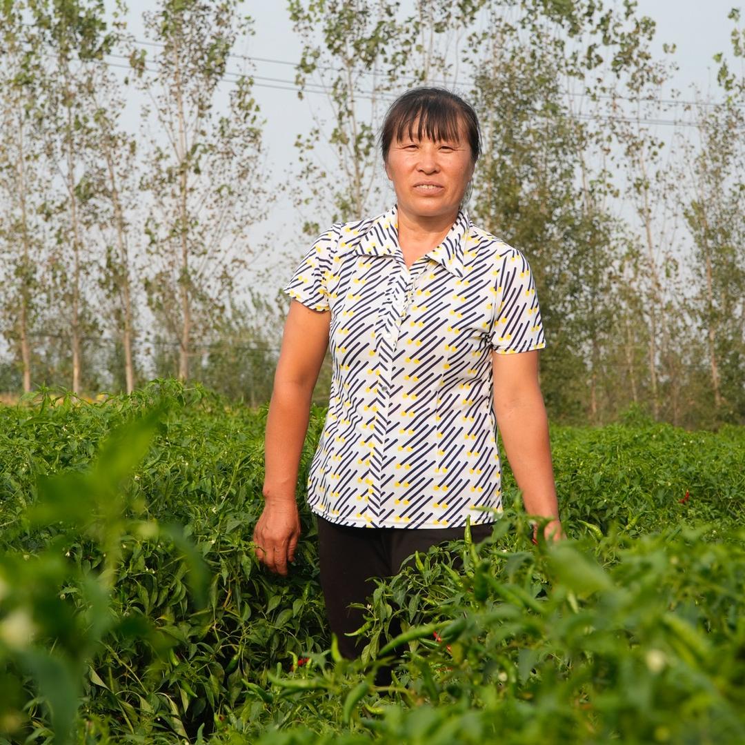 小英学种地