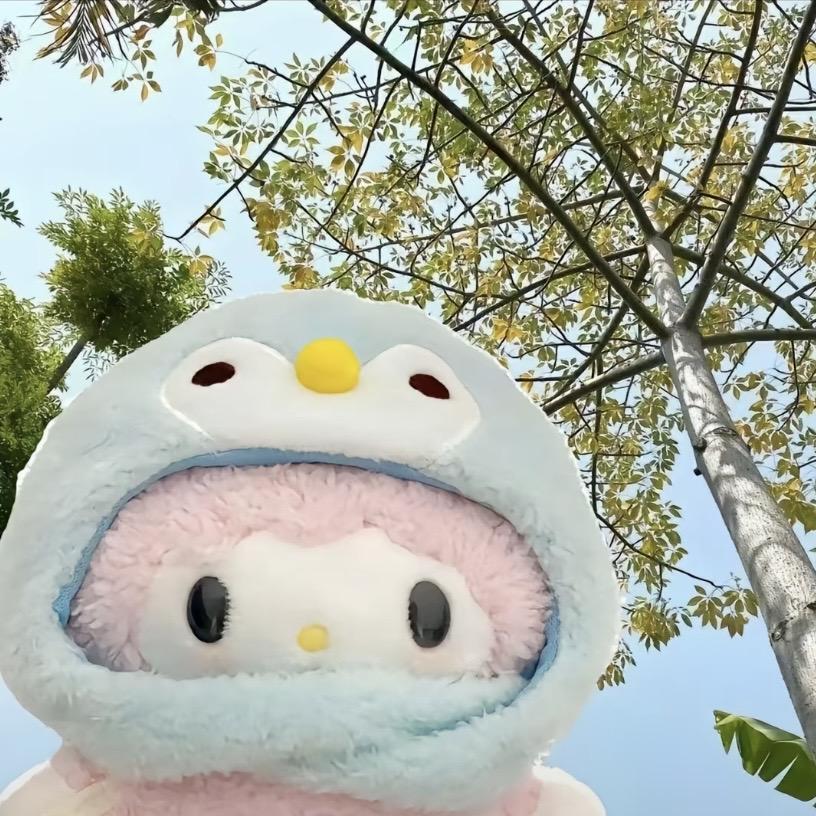mjmt小助理呀