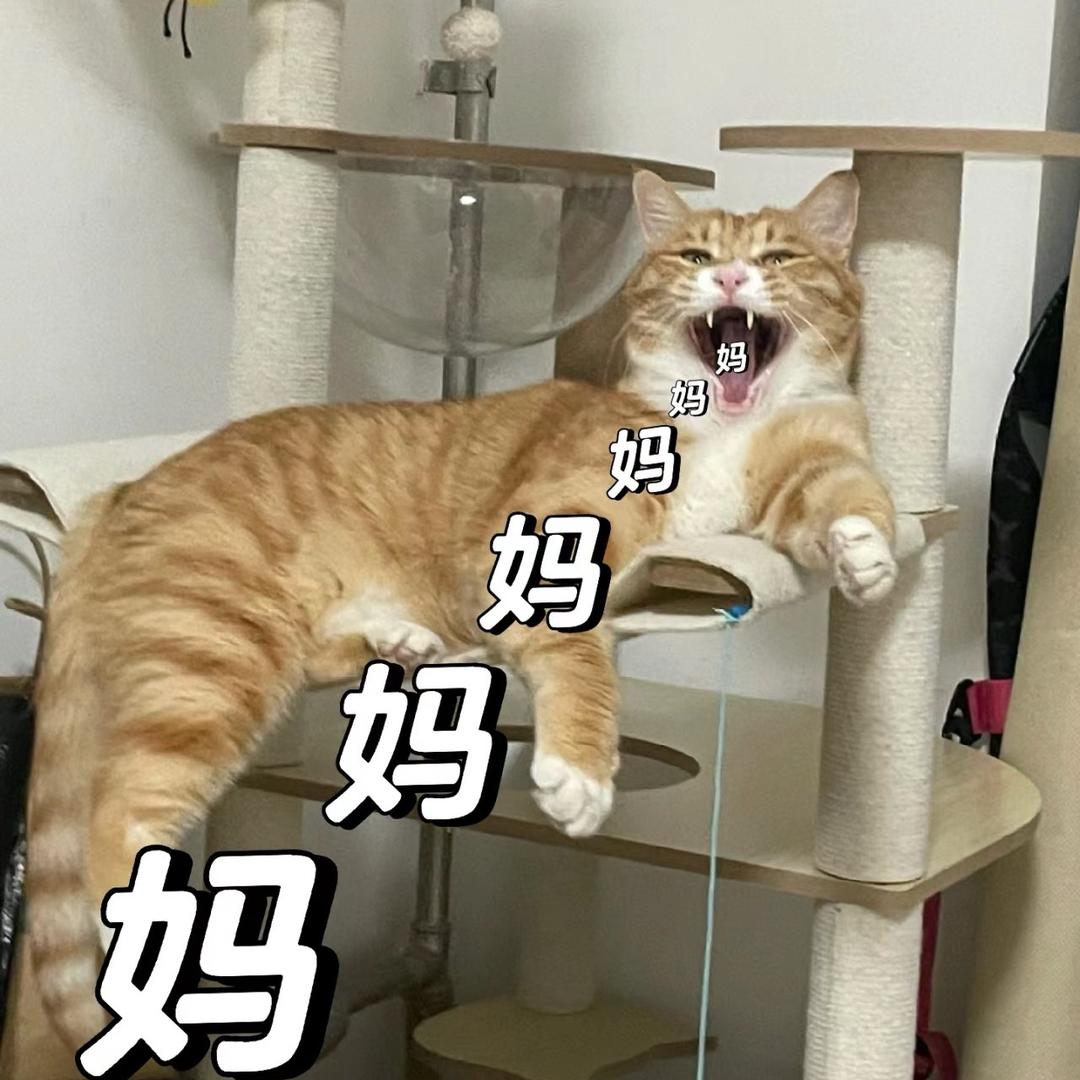 中华有神喵