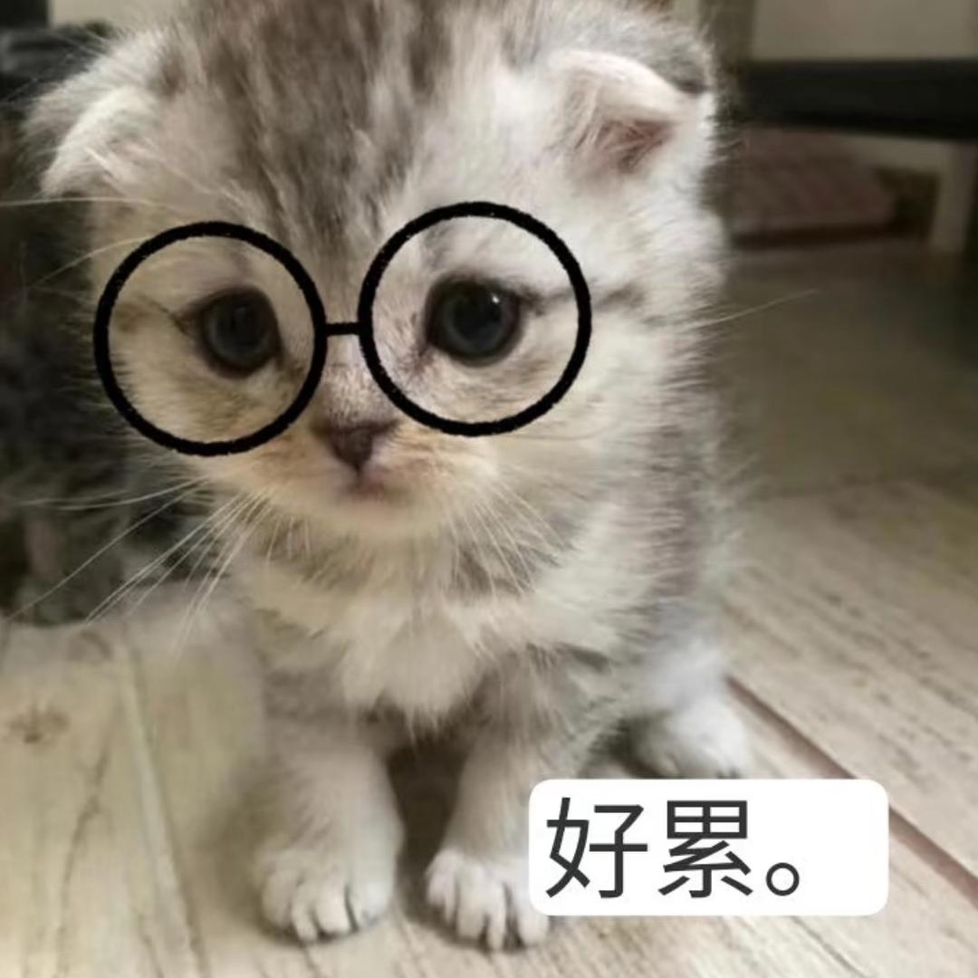 卖萌被骂死装