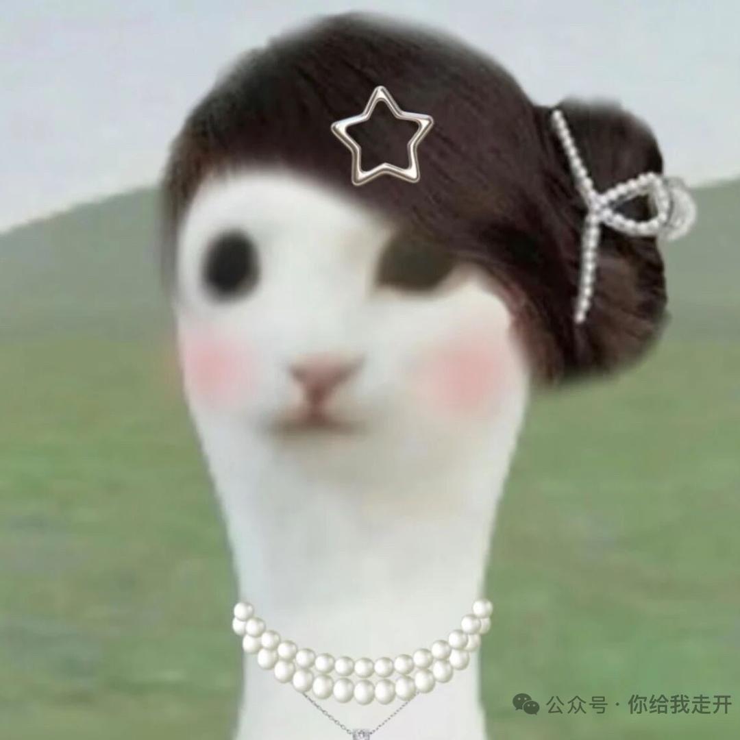 睡觉的时候不困.