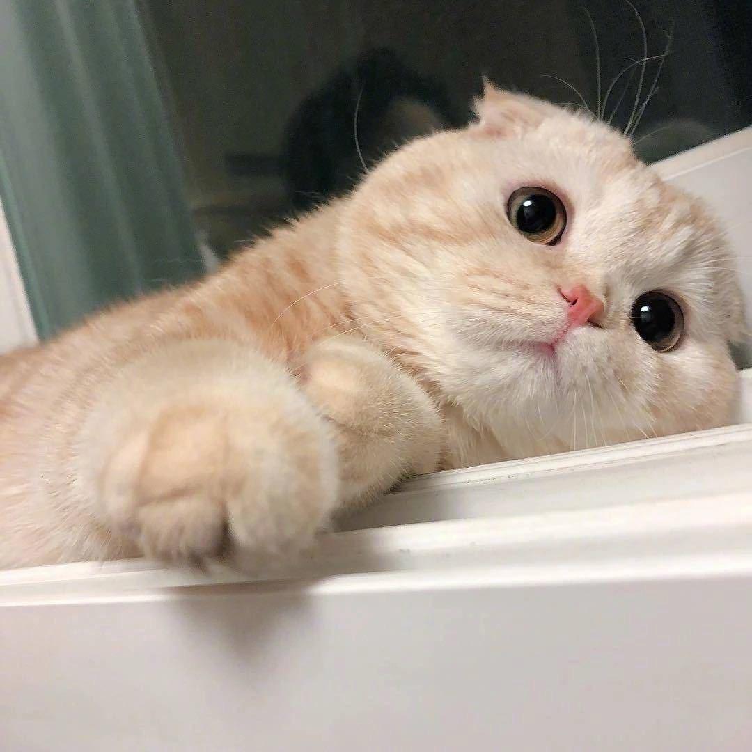 不想睡觉