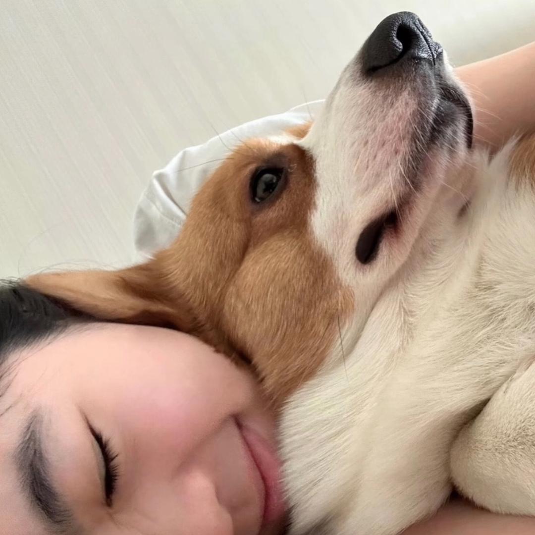 卷心菜-