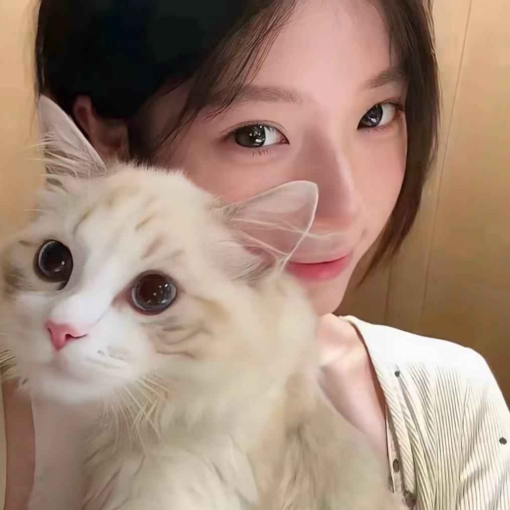 懒猫🐈