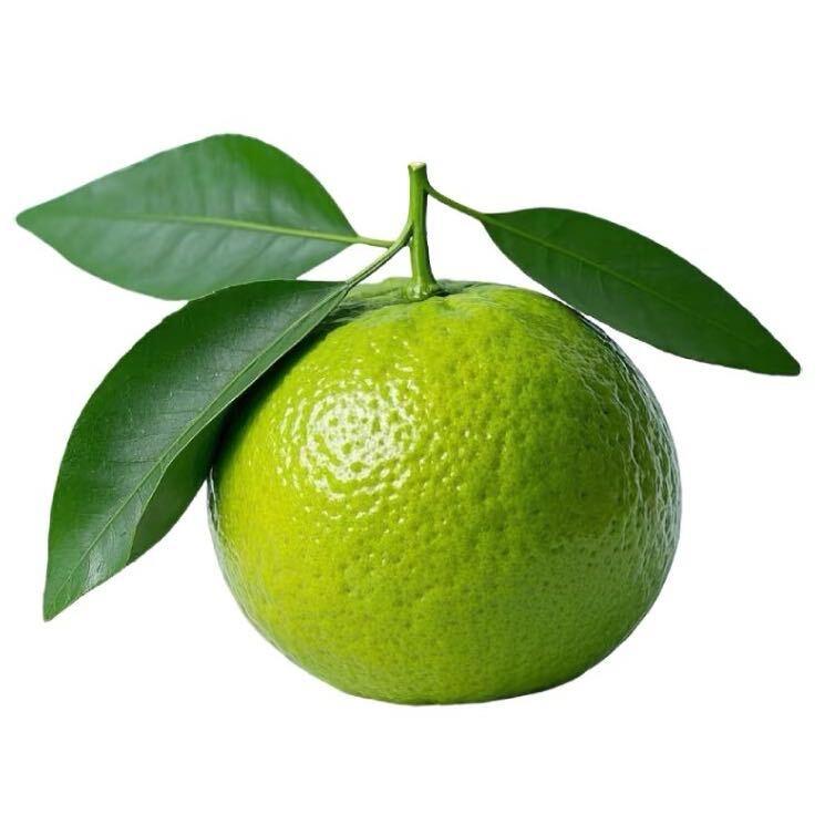 不要乱扔橘子🍊
