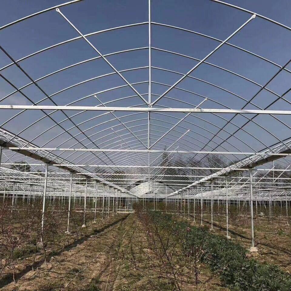 小顾࿐回收二手大棚钢管