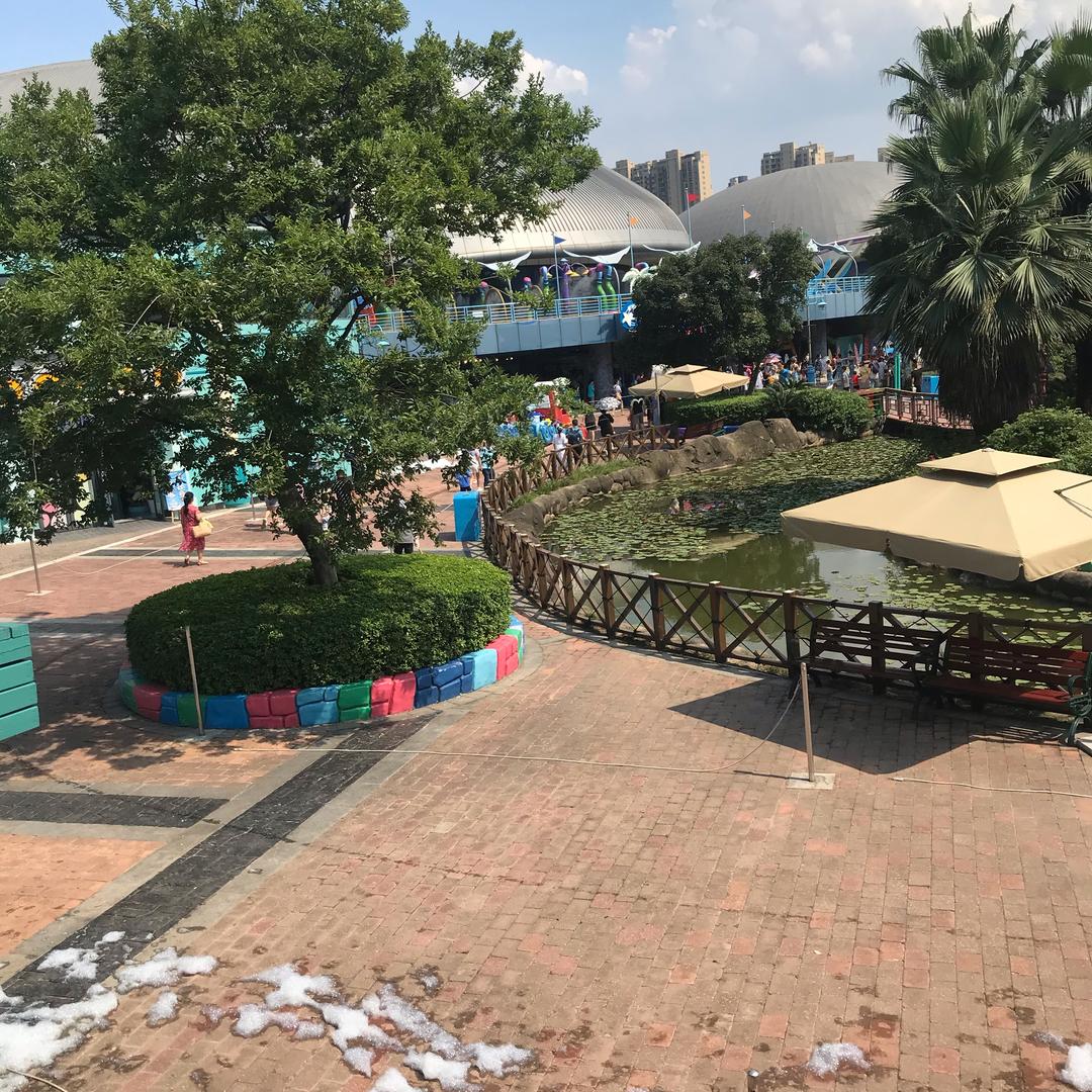 小小