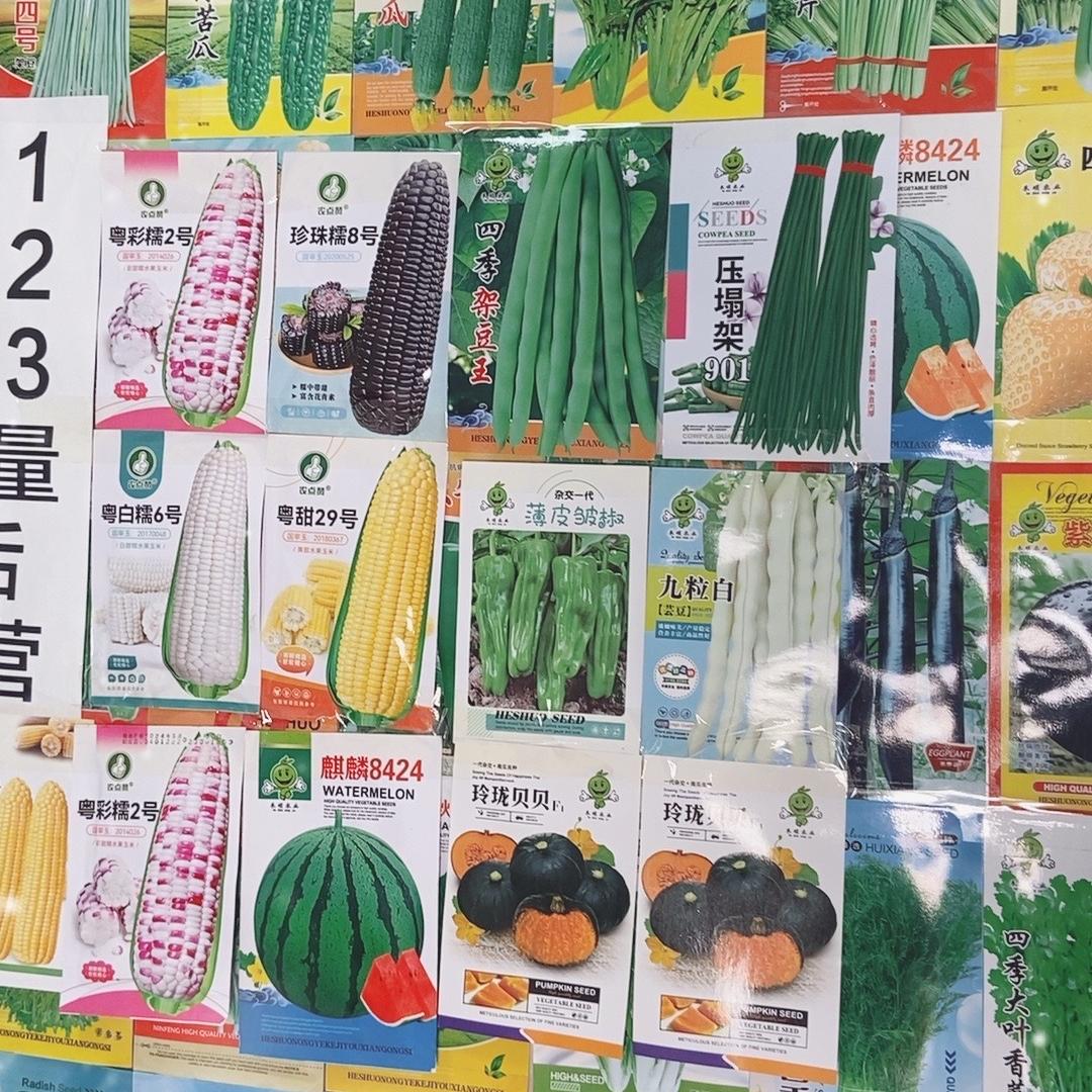 创幸小菜园