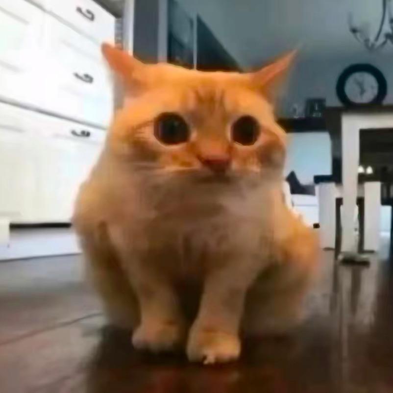 syyys