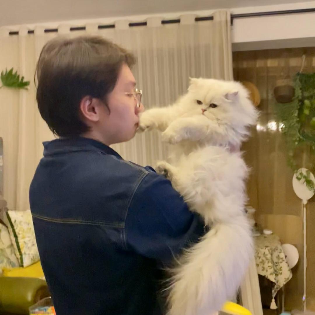 于同学的猫