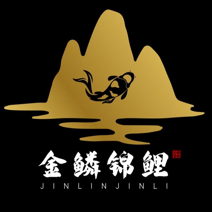 金鳞锦鲤 每晚11点