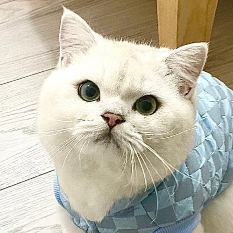 腐腐睡大觉