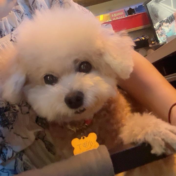 亲wen