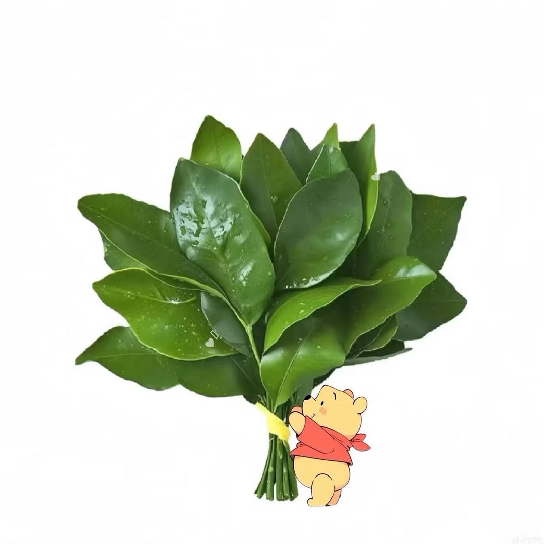 每天都想发财的美少女