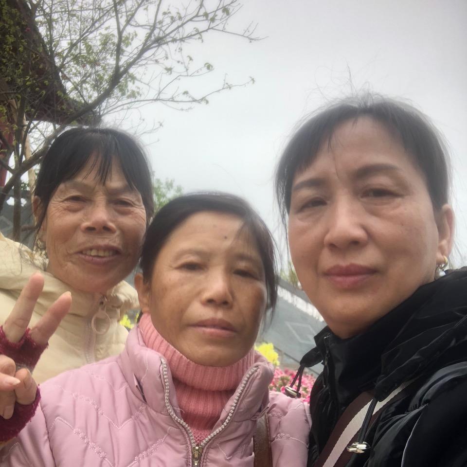 莲