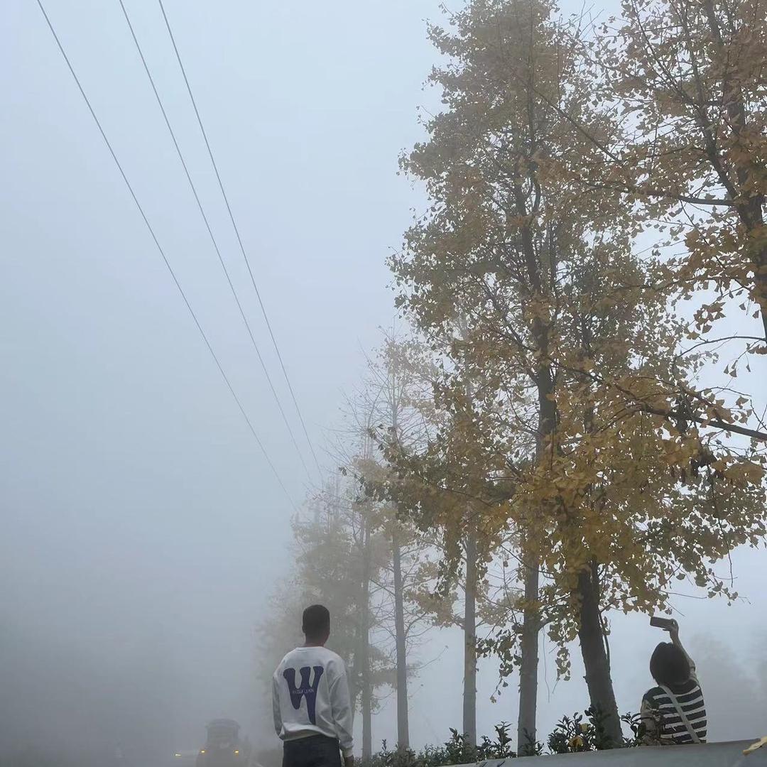 鲈鱼仔