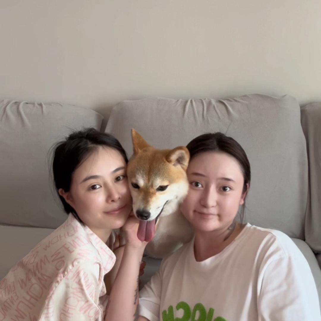乖乖