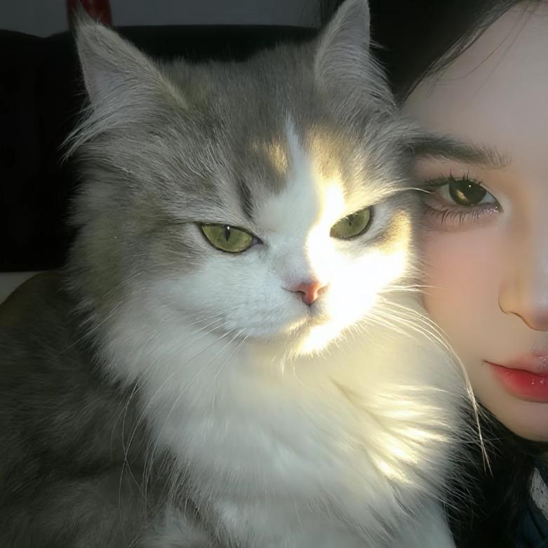 🍥