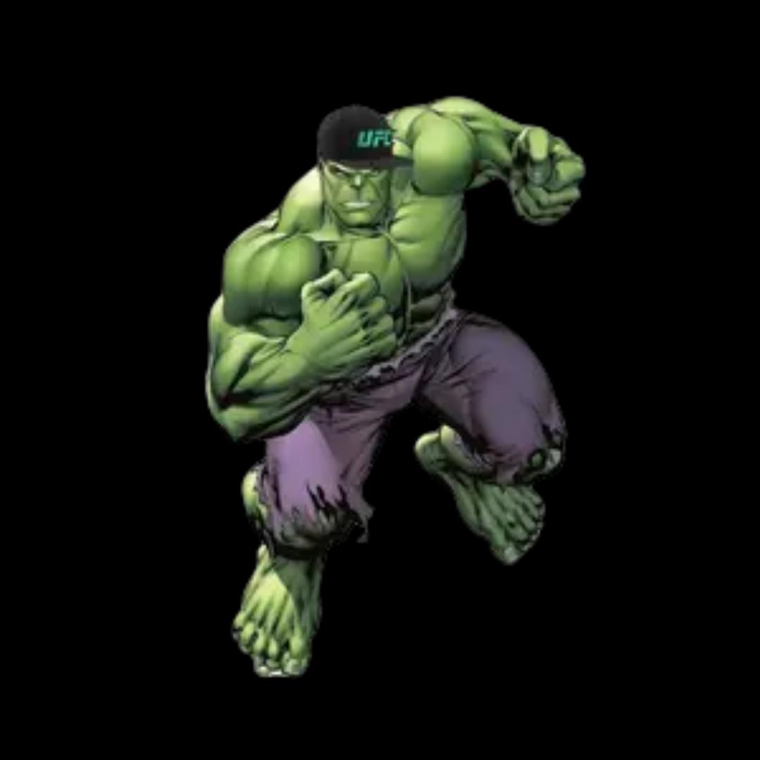 UFC浩克