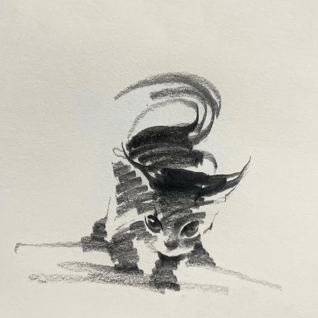 XiaoZhou_jade