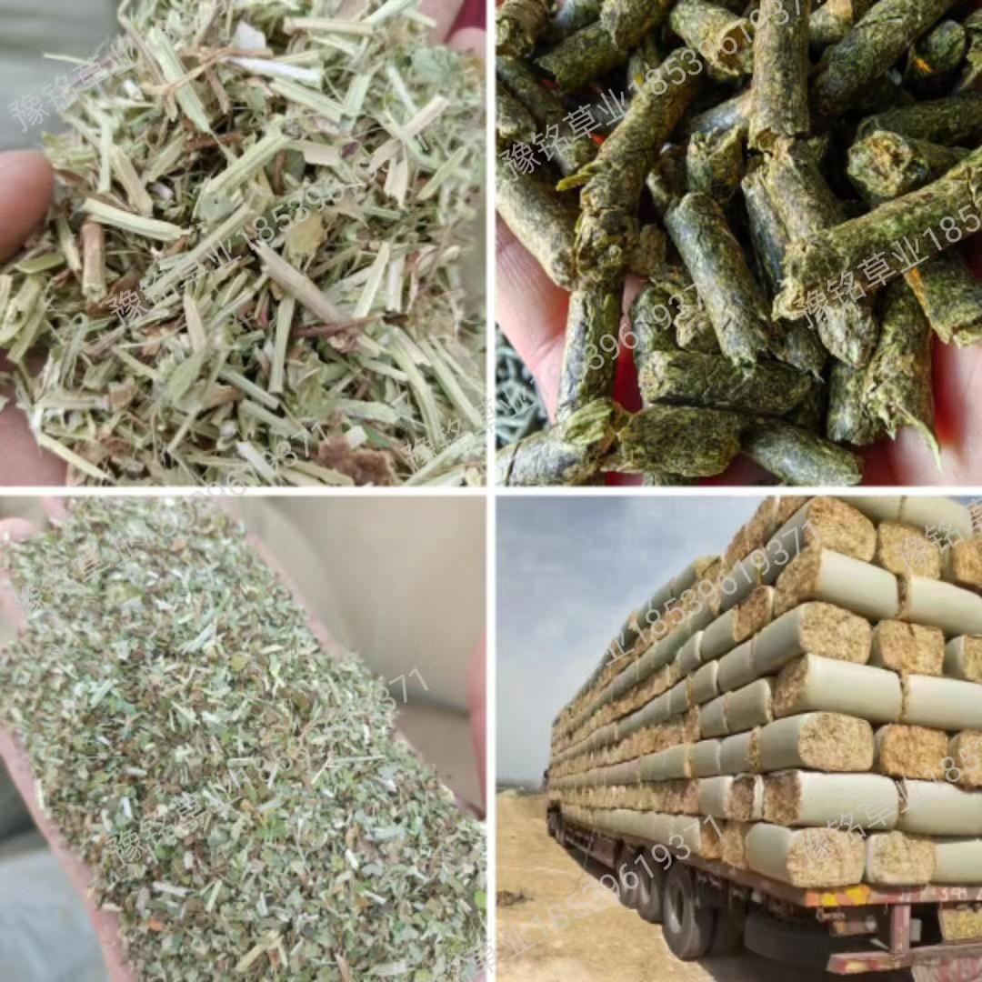 正阳县豫铭草业场