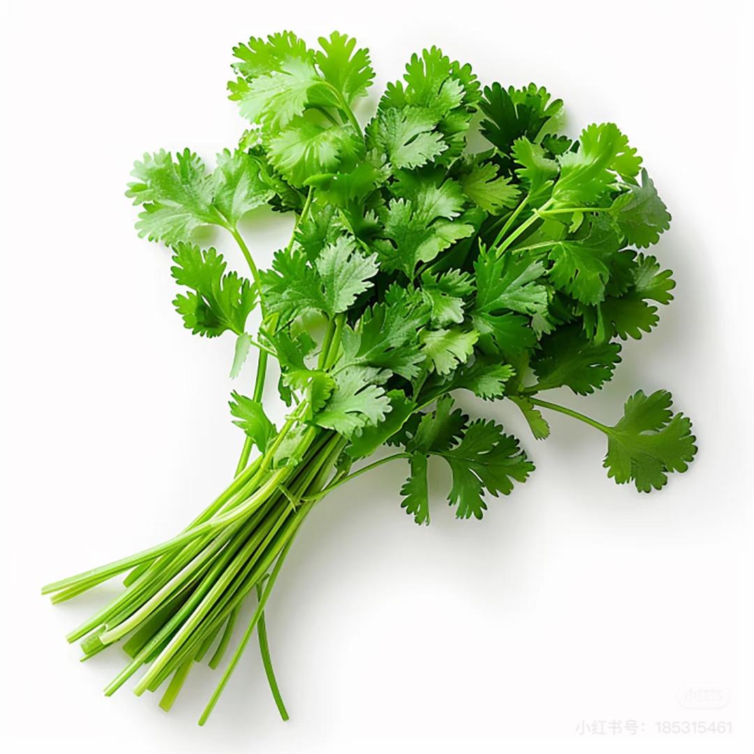 香菜