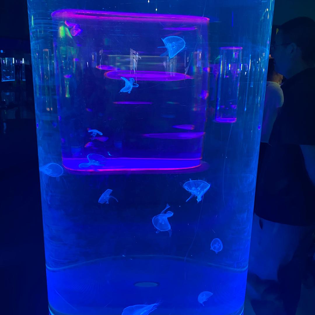 宇哥出山一个顶