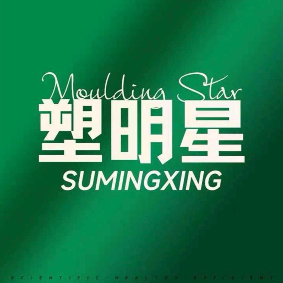 塑明星创始人 金闪闪