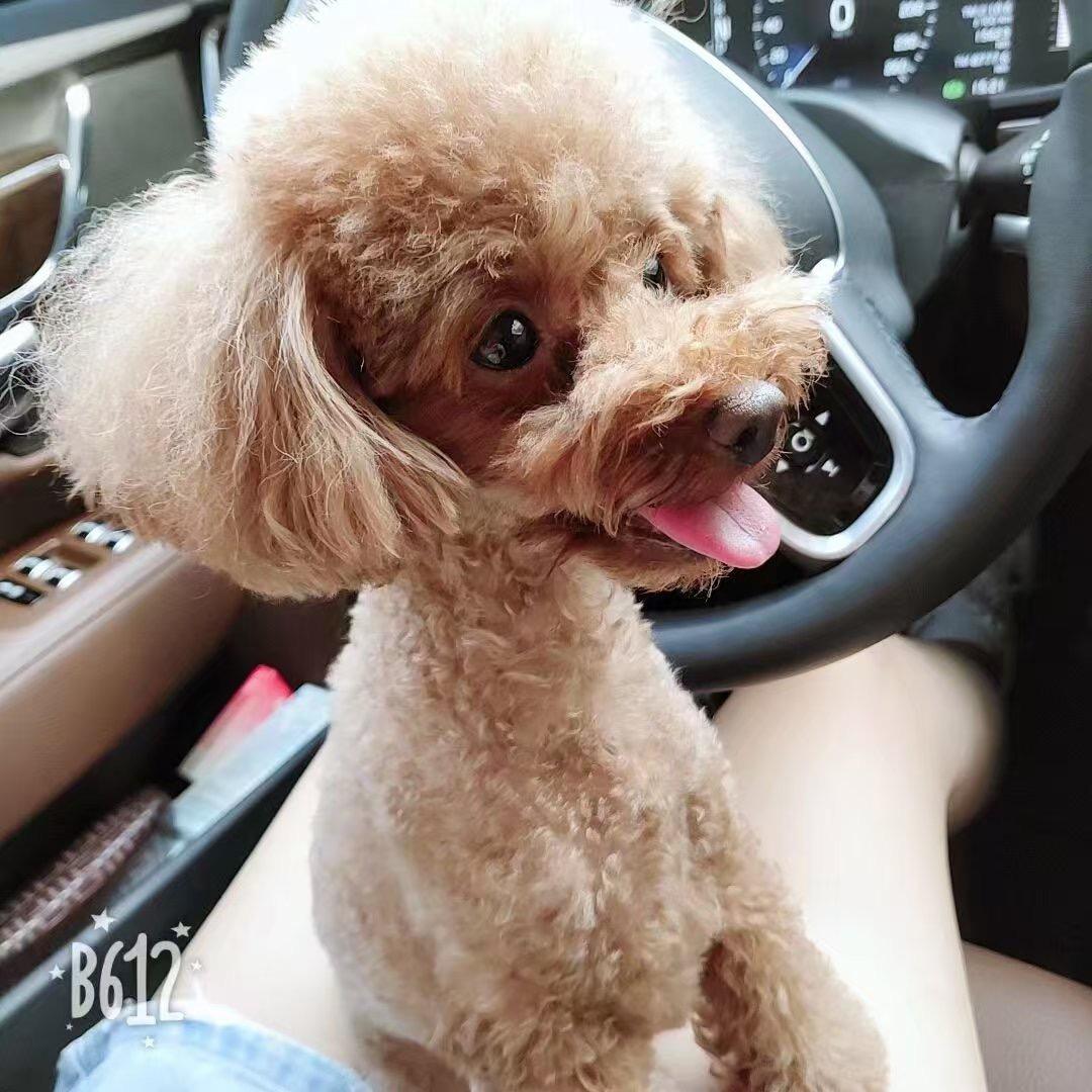 RICH多妈跨境优选