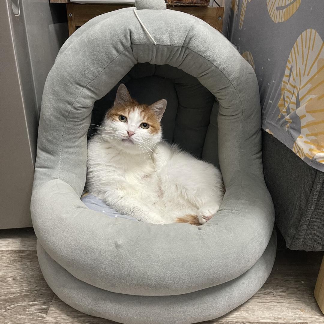 面食十级爱好者