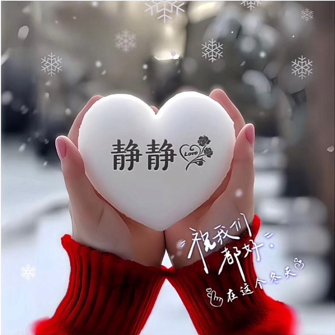 🎄静🌷静🌴静🌾