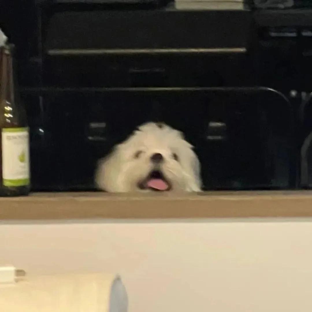 黄荣康