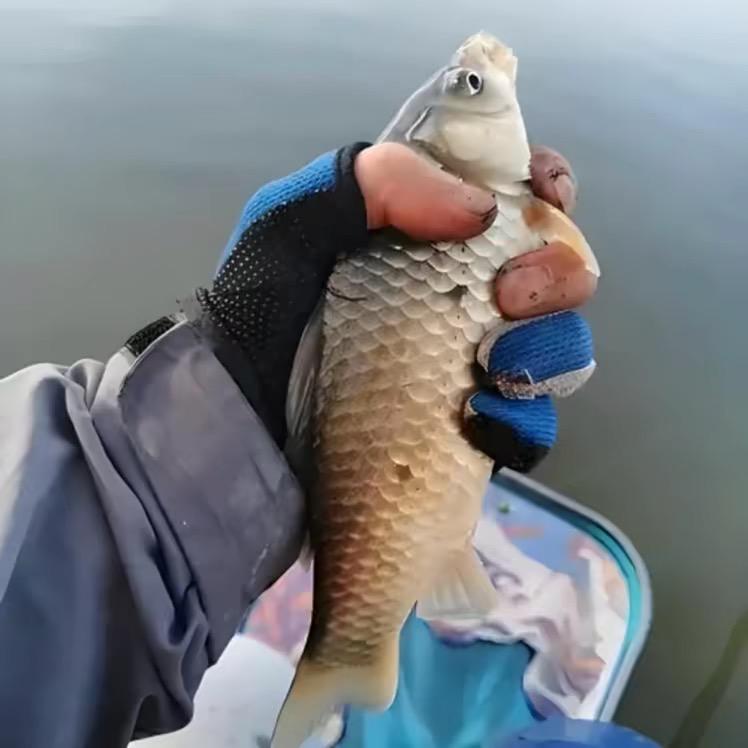 户外捡漏三兄弟