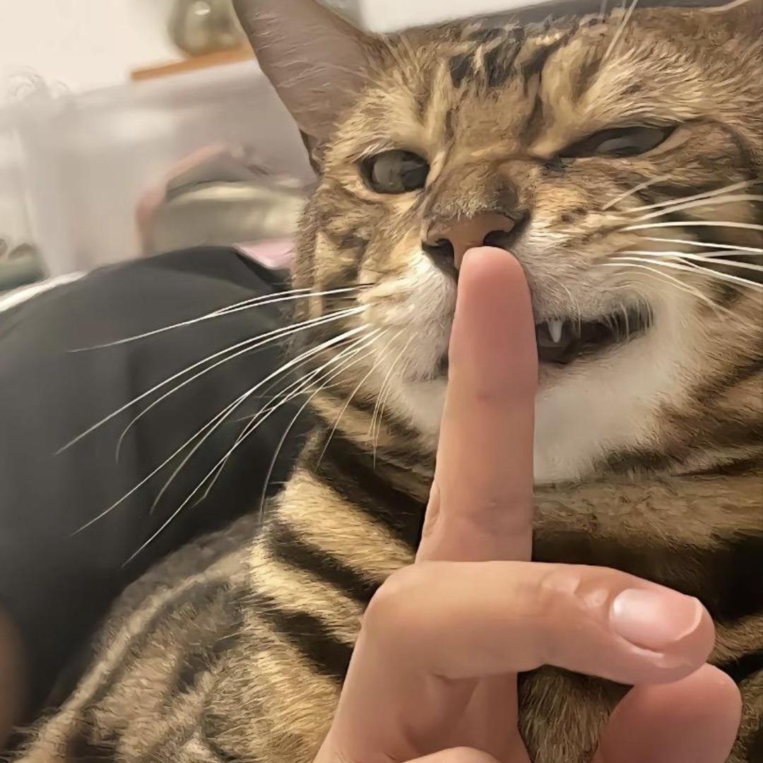 12.
