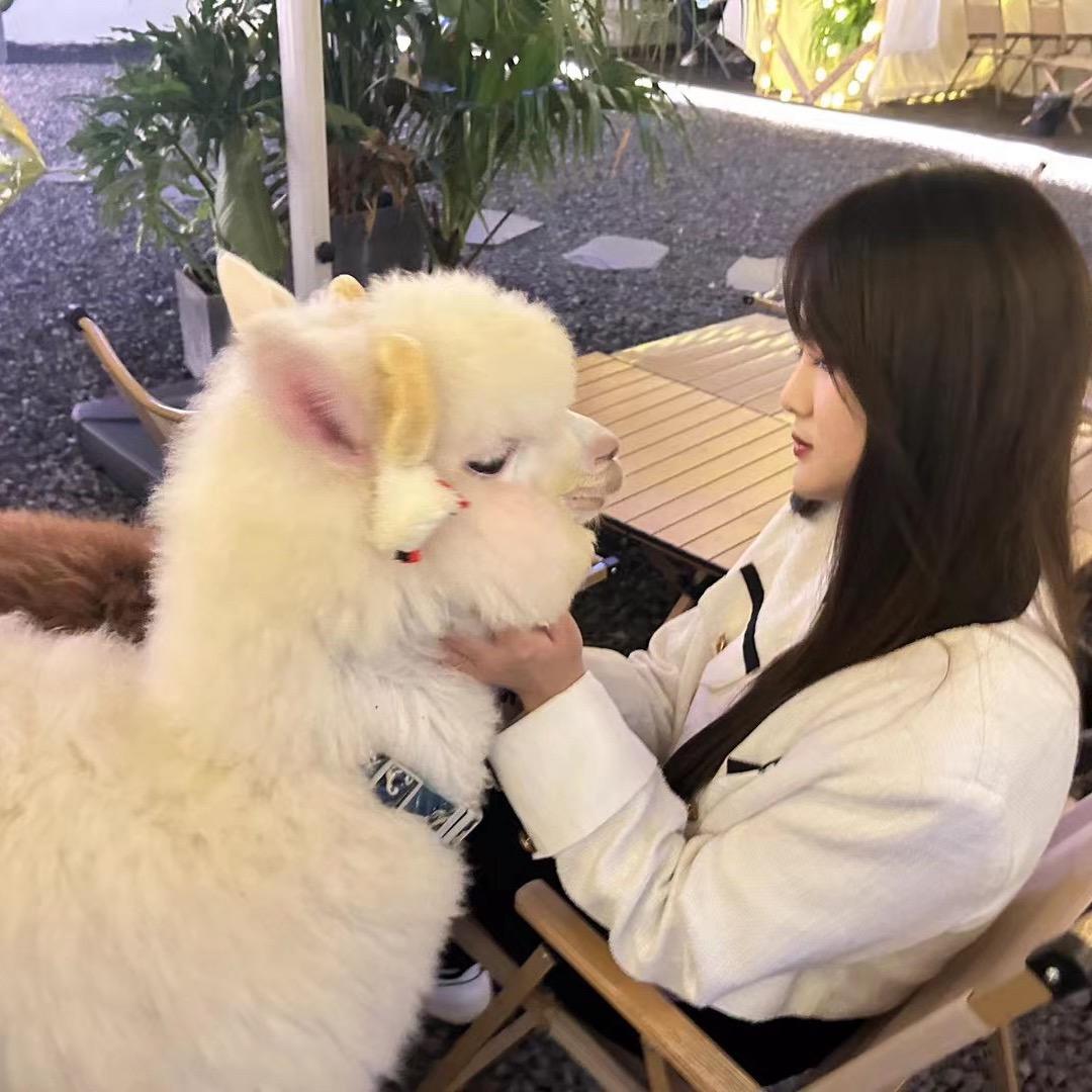 yue 月