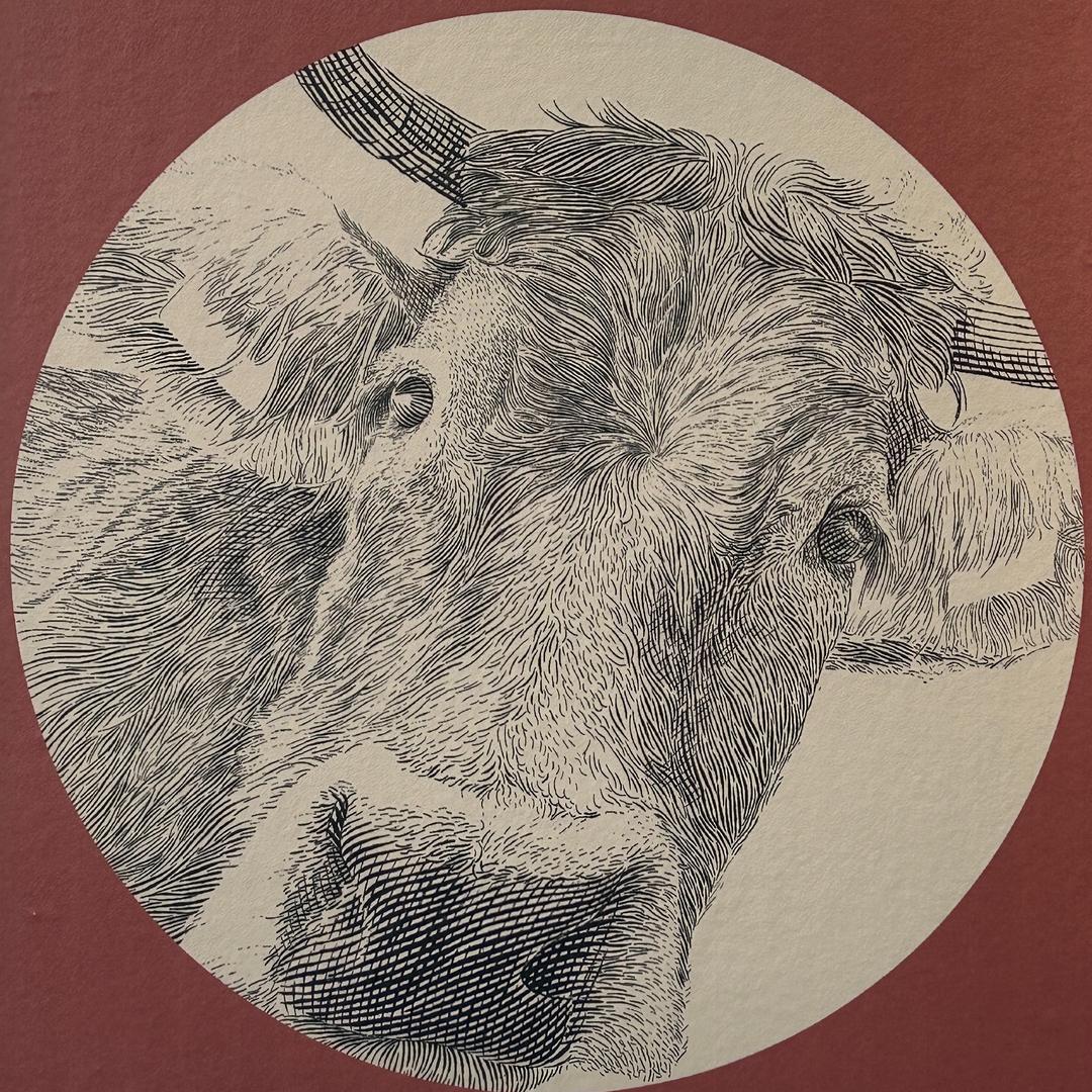 牛乃米唐（无畏契约