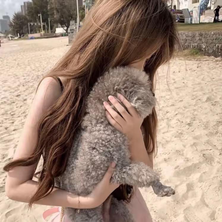 小羊”
