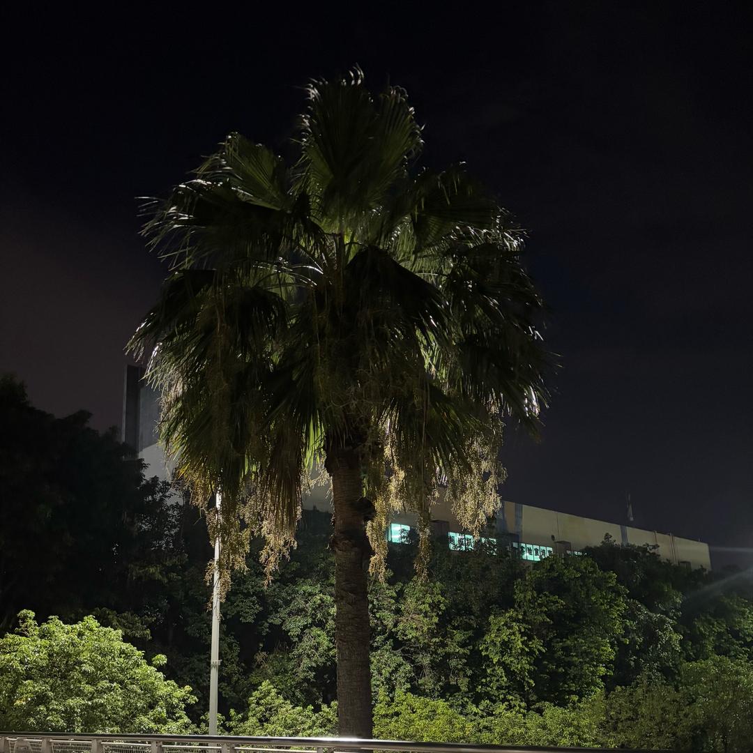 @是帅哥鸭