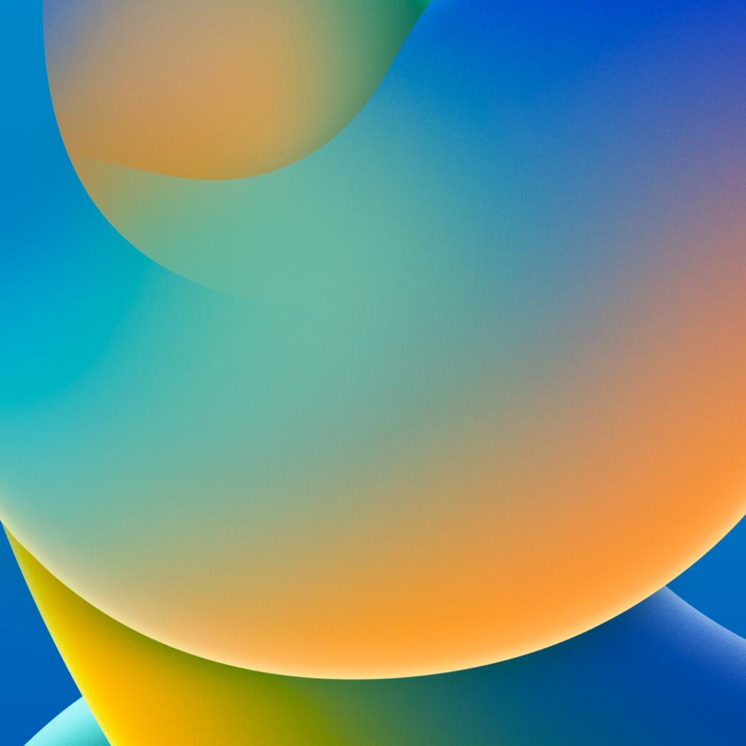 森哥