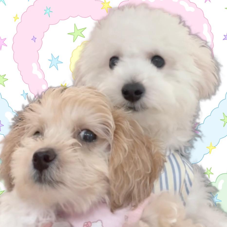 QQ米唐的朋友圈