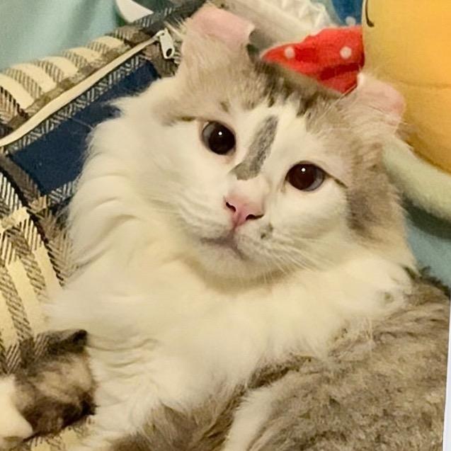 *清远