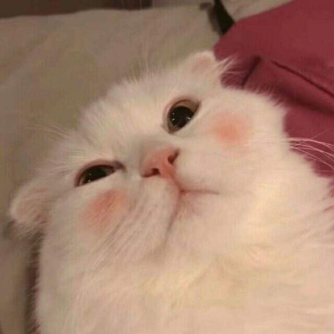 轻信