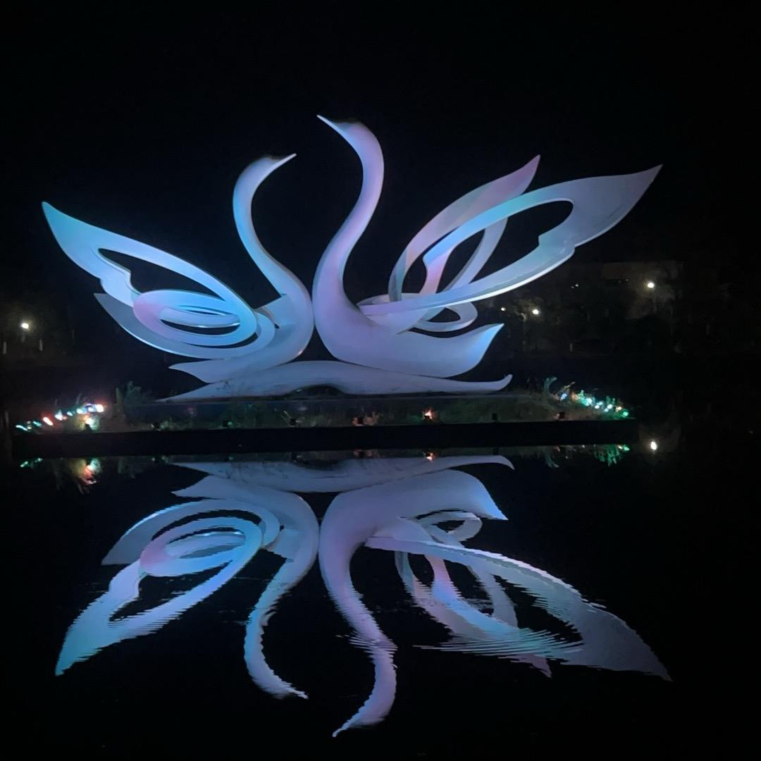 @高高在这里🌈