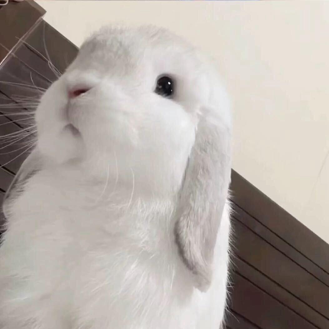 🤍
