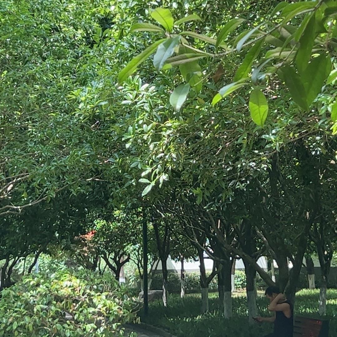 我来了，宝贝