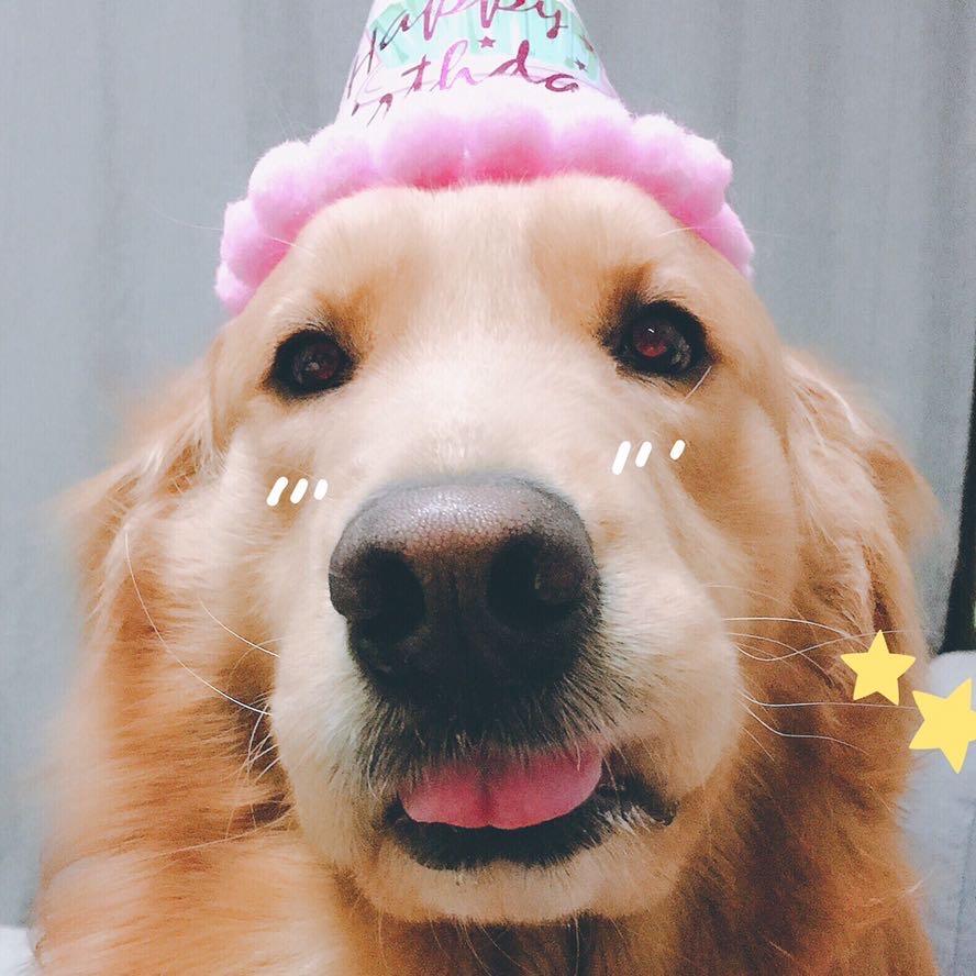 ✨奶酪✨