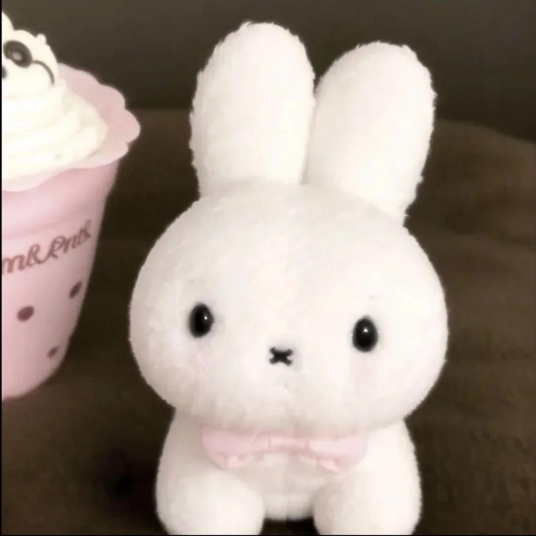 ₍ᐢ..ᐢ₎