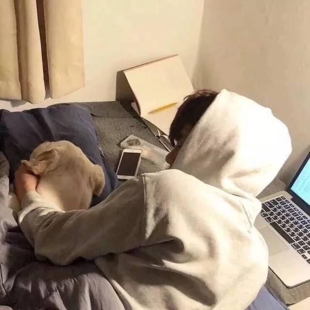 圈中小狗